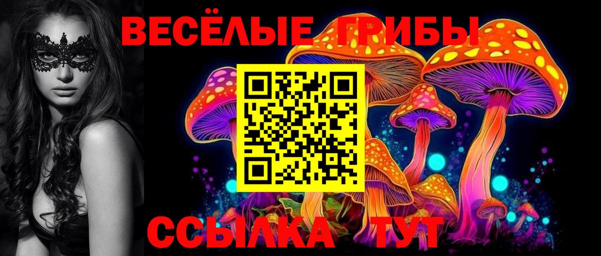 Галлюциногенные грибы Magic Shrooms Электрогорск